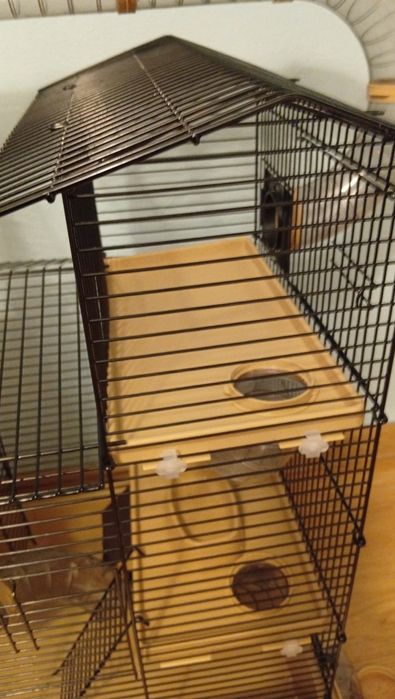 Klatka dla chomika duża okazja