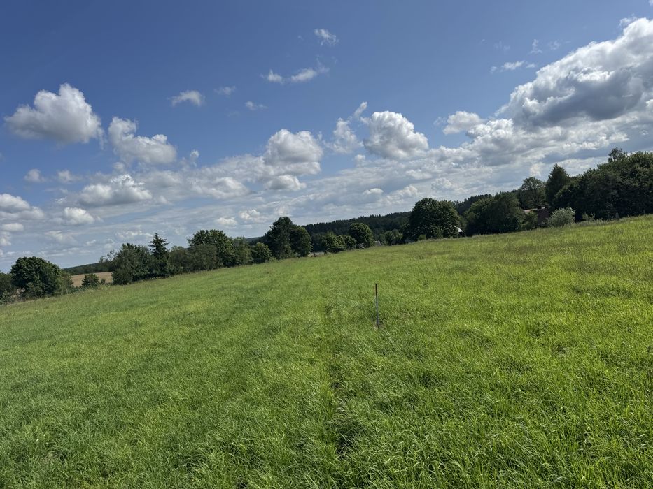 Działki 10ary na Mazurach - Idealna Inwestycja