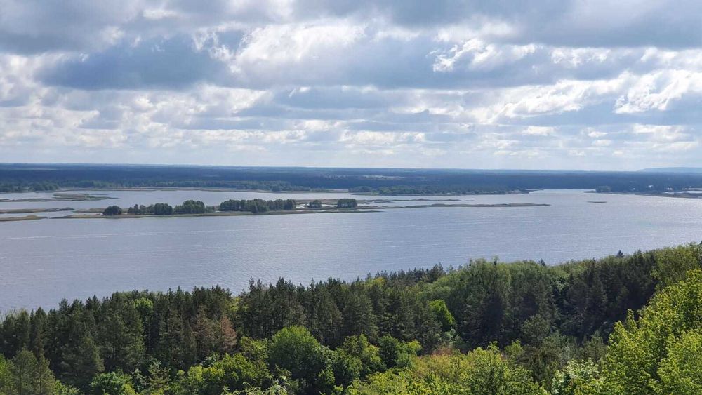 Чудовий відпочинок за містом на природі.