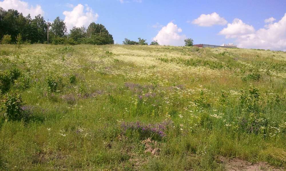 Продам свой участок 12 соток в живописном месте