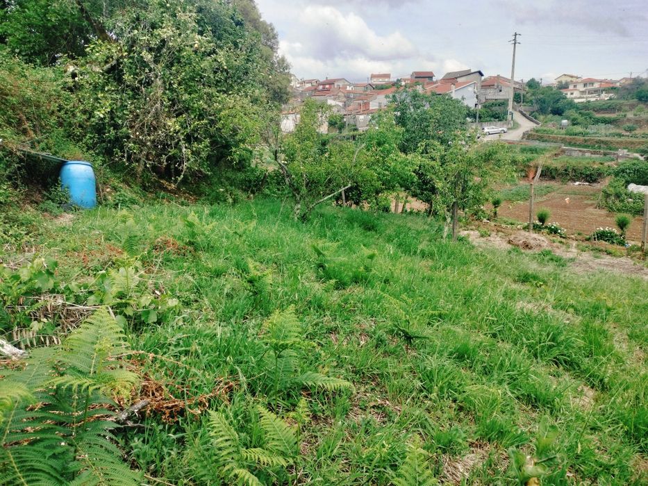 Vende-se Terreno de Cultivo com Currais para Animais – Aveleira - Penacova