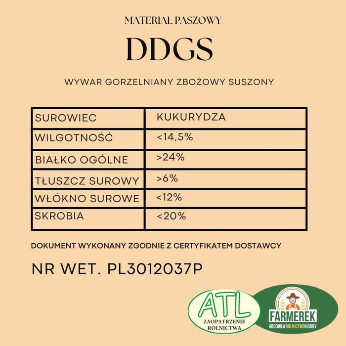 DDGS Kukurydziany (DDGS) wywar gorzelniany białko roślinne