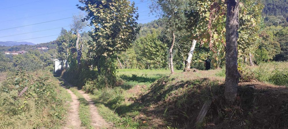 Vendo terreno com 1.074 m² em Souto, Terras de Bouro