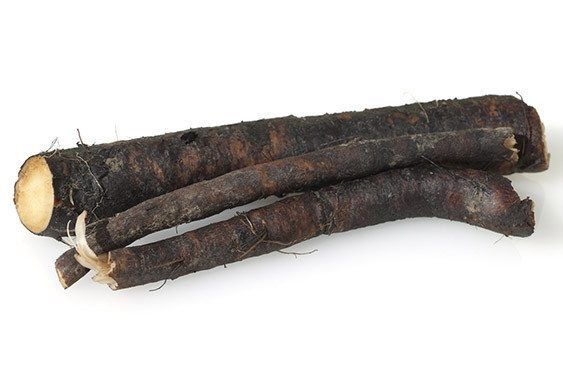 Żywokost lekarski dziki korzeń