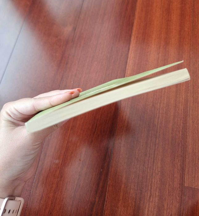 Livro "A Minha Vida e as Minhas Experiências com a Verdade V2", Gandhi