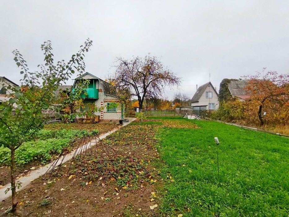 Гарна дача з доглянутою ділянкою 5 соток. Біля Чернігова с.Рижики (SP)