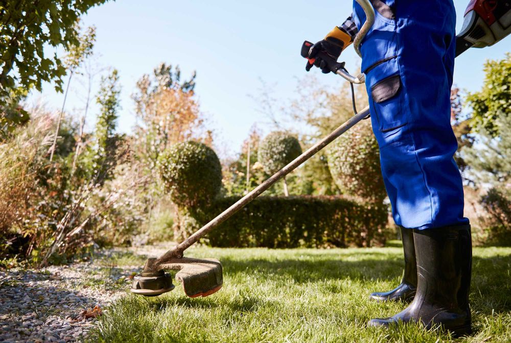 Serviços de Jardinagem e Limpeza de Terrenos - Manuel Santos