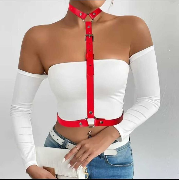 Harness, pasek, szelki