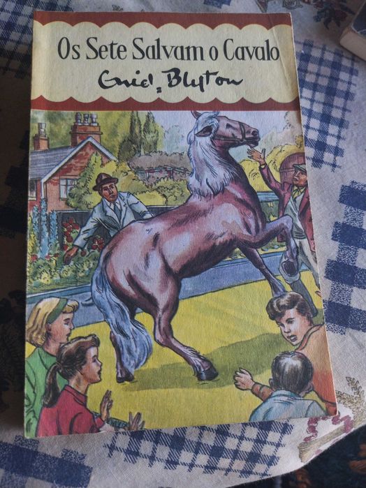 2 livros da Coleção os Sete