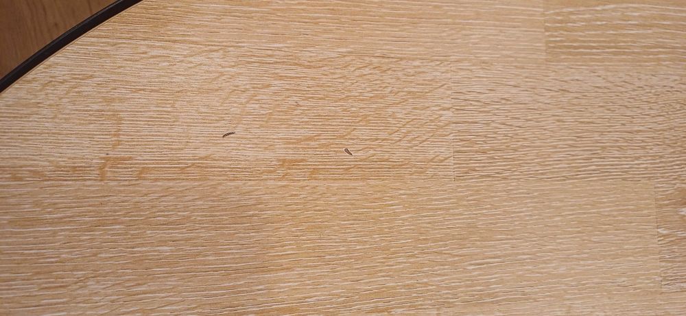 Ława stolik kawowy z półką stół okrągły 71 cm