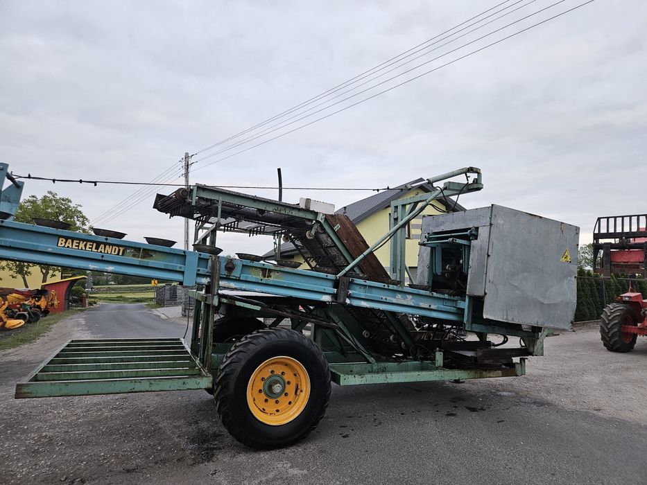 Kombajn baekelandt kalafior , brokuł , rożyczkowanie