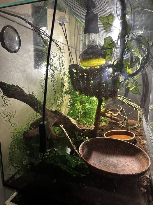 Великий тераріум ТЕРМІНОВО