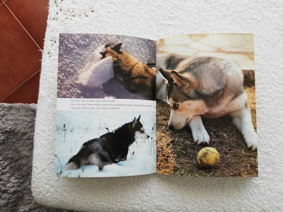 Livro do  Husky Siberiano