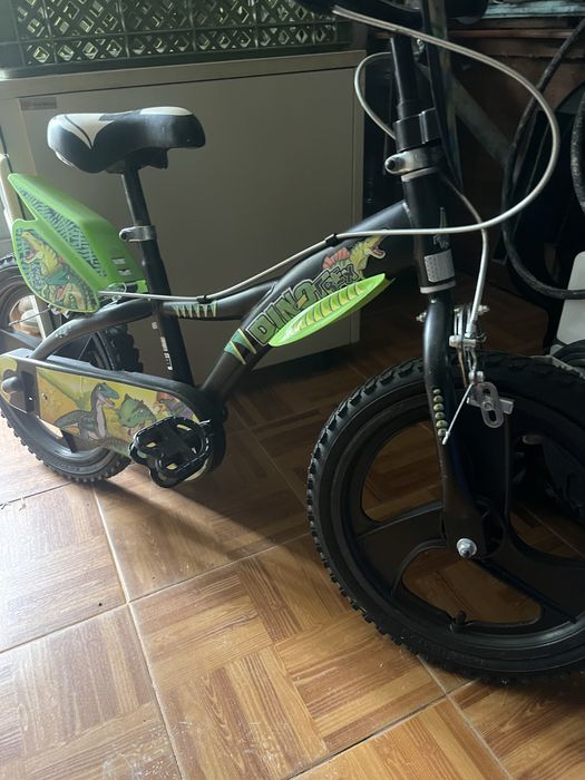 Bicicleta crianca dinossauro estampado