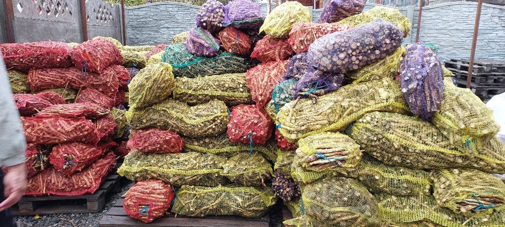 Продам корінь хріну