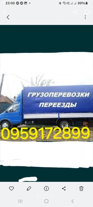 Вантажні перевезення. Вивіз сміття.  Вантажники.