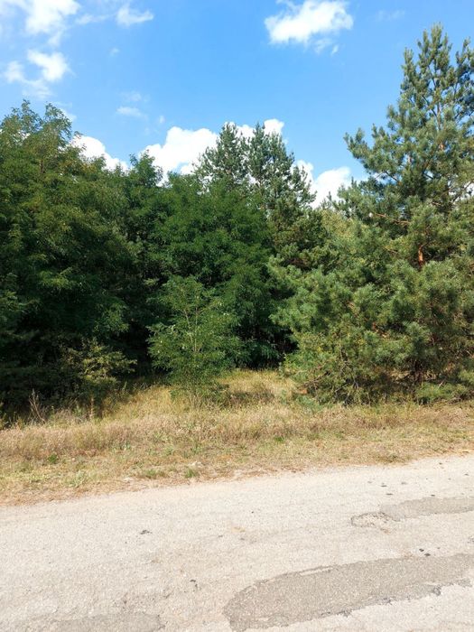 Земельна ділянка під забудову 25 соток село Рокитне