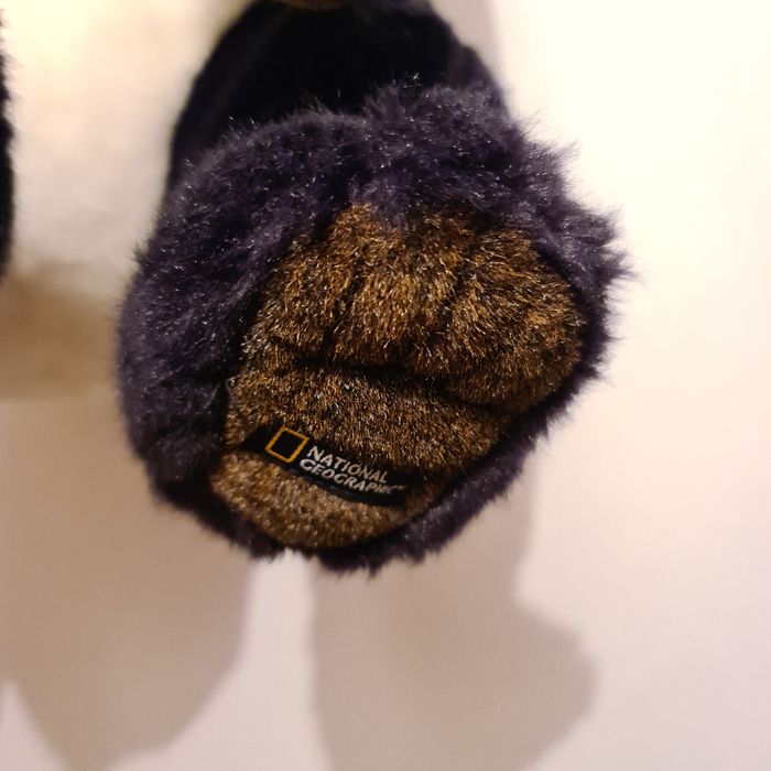 Panda peluche National Geographic-50cm