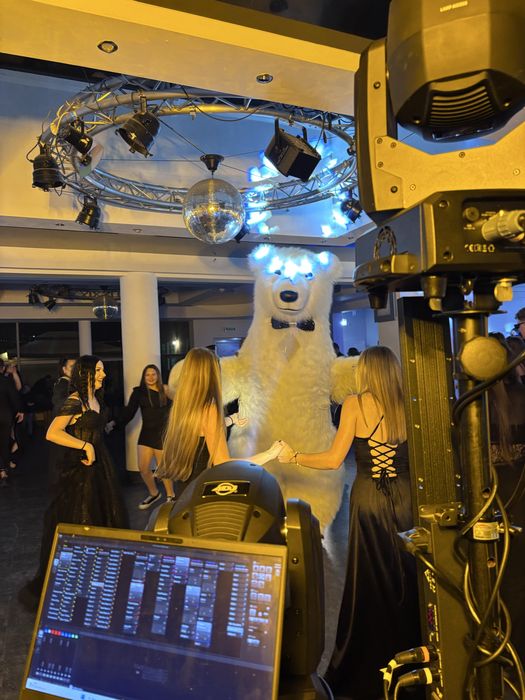 Biały Miś Barni żywa maskotka na imprezę