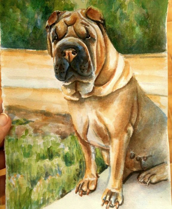 Retrato de cão personalizado