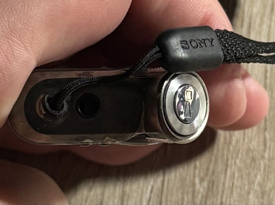 Sony Walkman NW-E99 / Оригінальні навушники / Все працює