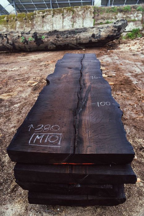 Monolity Dębowe Dąb Czarny Bagienny