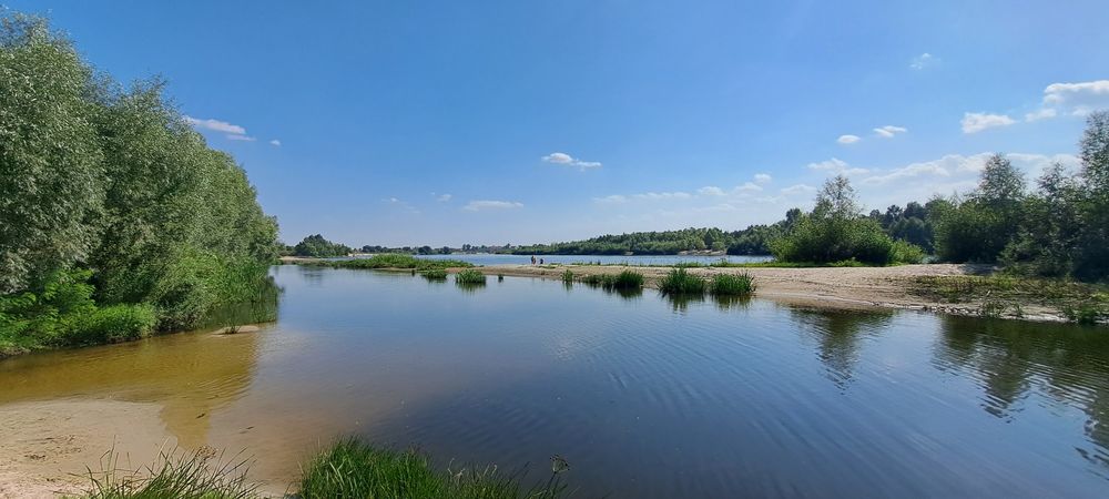 Участок  возле Десны с дачным ввгончиком. Сады Зазимье (дачи).