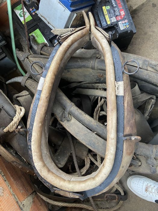 Vendo coleira de egua ta em bom estado sao das boas
