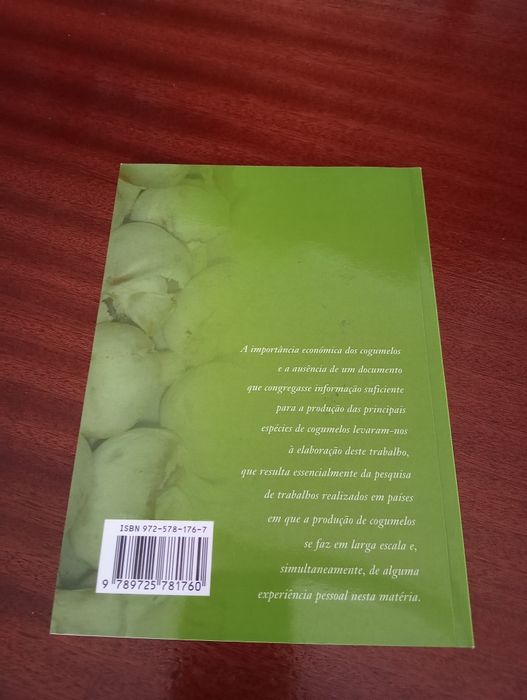 Como produzir cogumelos