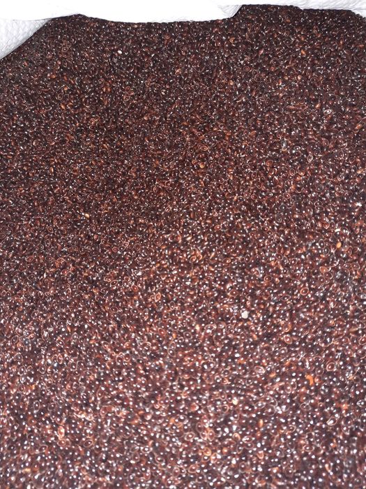 Просо чёрное нуг абессинский сортекс