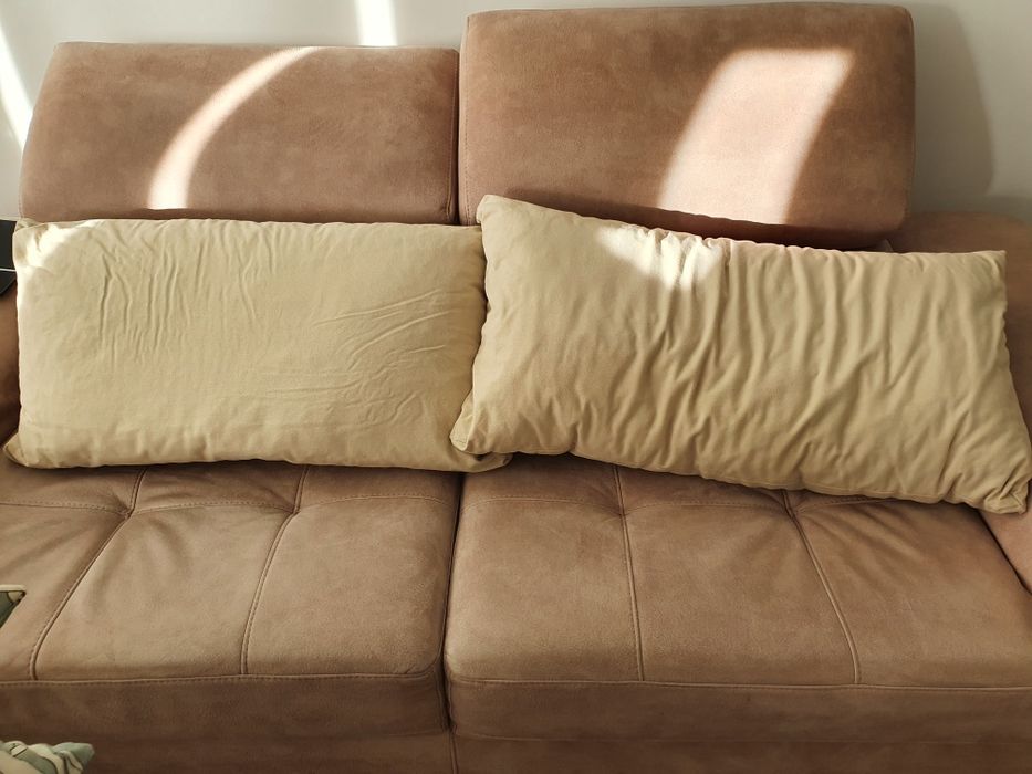 2 Large Decorative Cushions