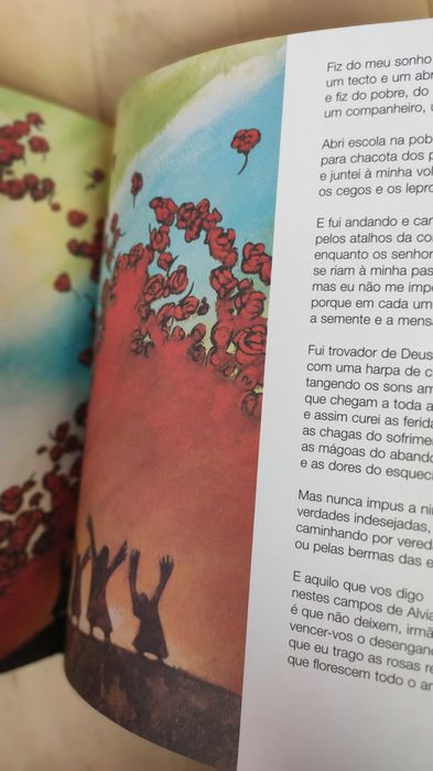 Livro infantil São Francisco das Andorinhas