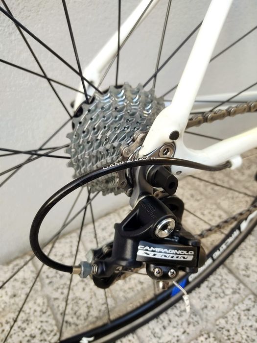 Specialized Secteur Sport