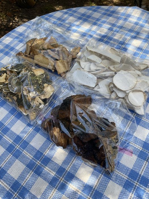 Wrośniak,Chaga,Białoporek,Pniarek.0,7 kg