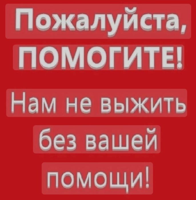 Ищу человека помочь оформить Соц.документы