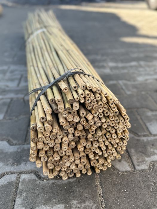 Tyczka bambusowa sadownicza dł. 150cm śr. 14/16mm, bambus, tyczki