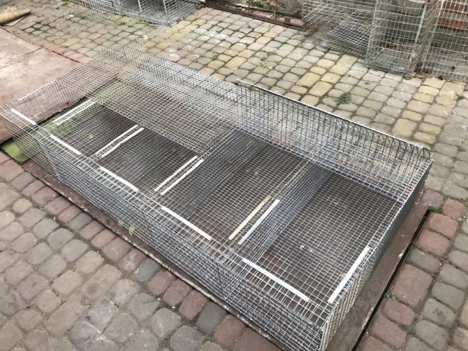 Клітки для кролів