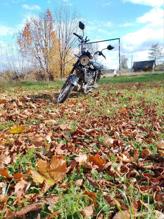 Мустанг дельта продам