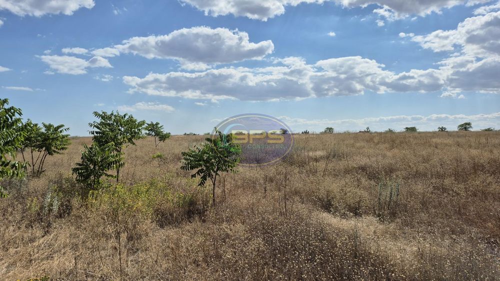 Фасадна земельна ділянка 3,64 га на Об'їзній дорозі біля Сухого Лиману