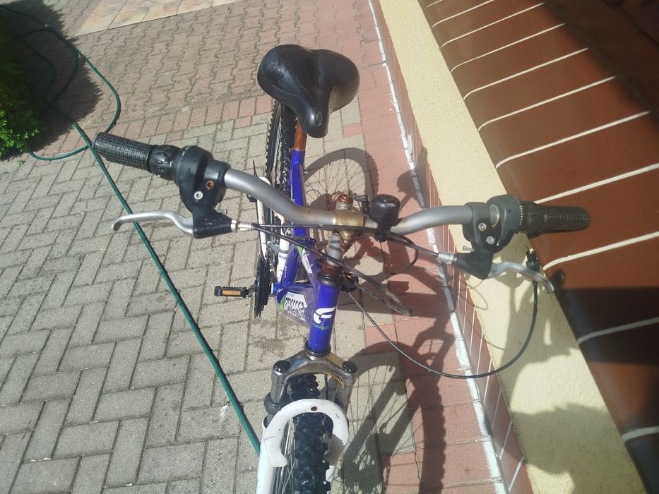 Rower Forester Raptor