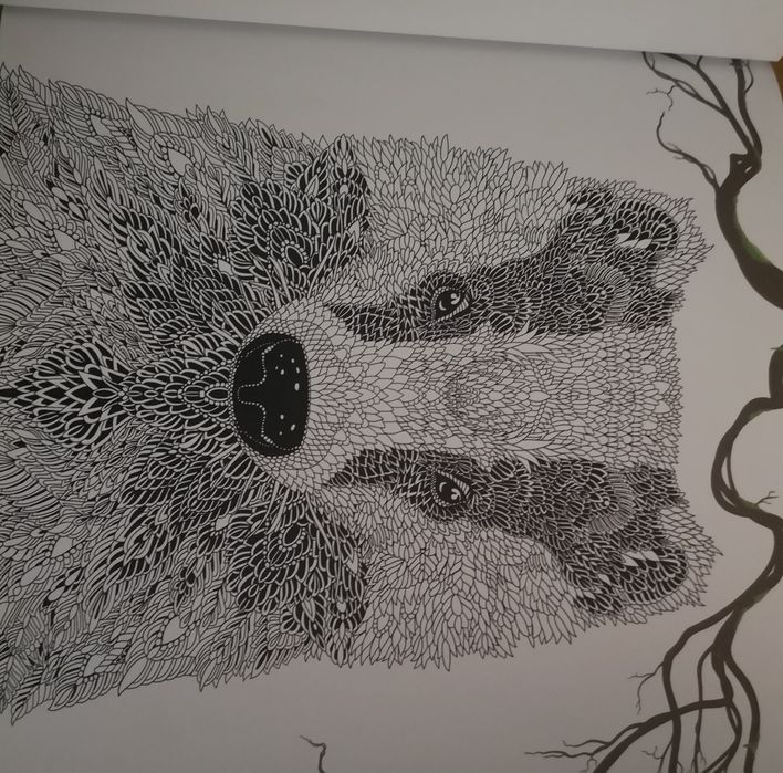 Livro de colorir - animalario