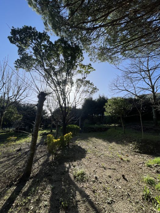 Terreno Tregosa para Construção - 1807.42m2 (Ver última foto)