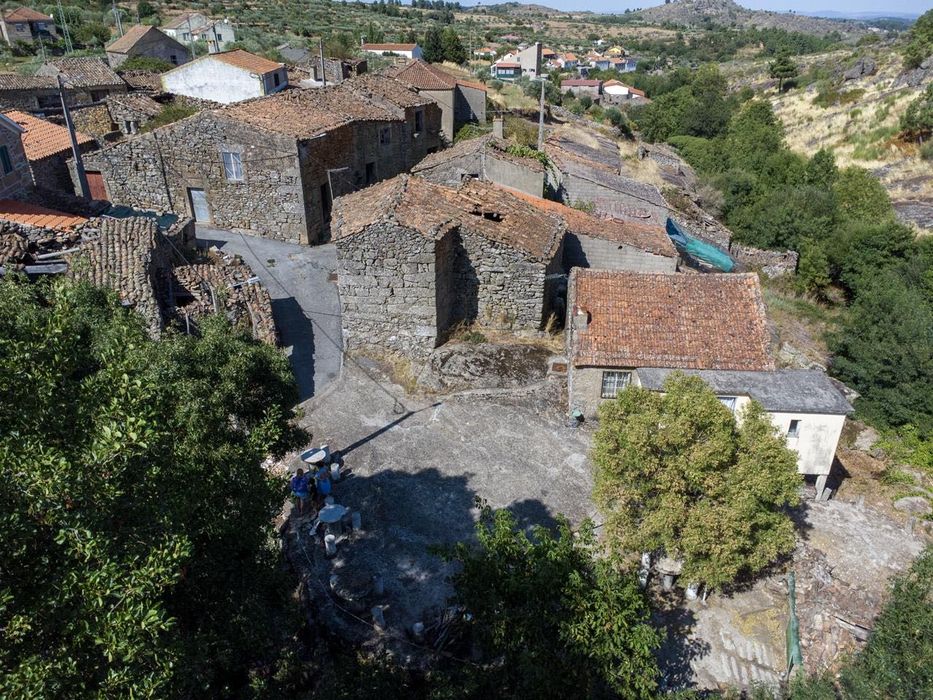 Descubra o Potencial Escondido de Ribeira do Freixo