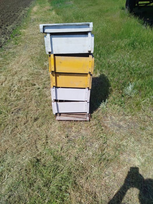 Продажа ульев для пчел