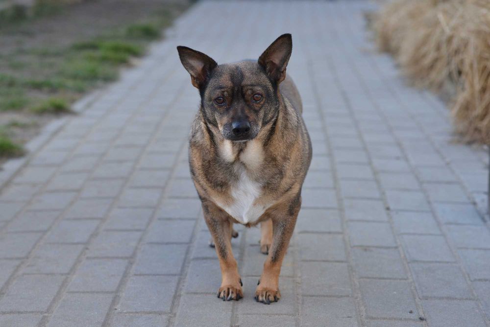 Basta – Czy ktoś w końcu ją zauważy?