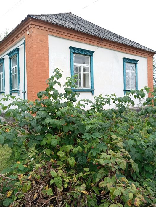 Продам будинок у м Василькові! Не дача!!!