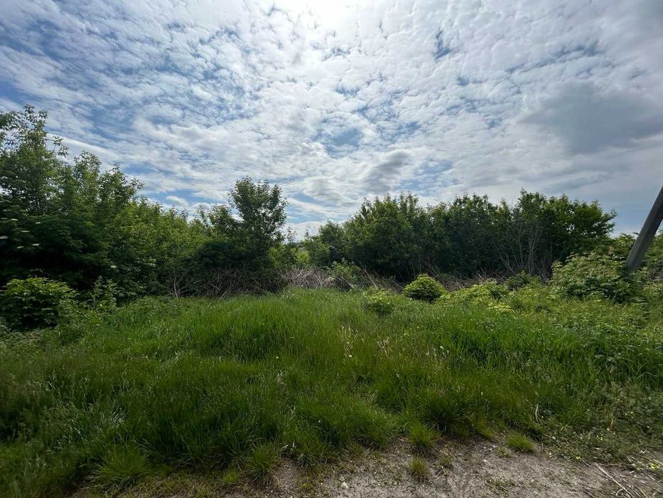 Земельні ділянки 1.05 га (0,36 та 0.69) в с. Гродзеве Уманський район