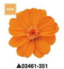 Знижка 50% Стабілізована помаранчева цинія.