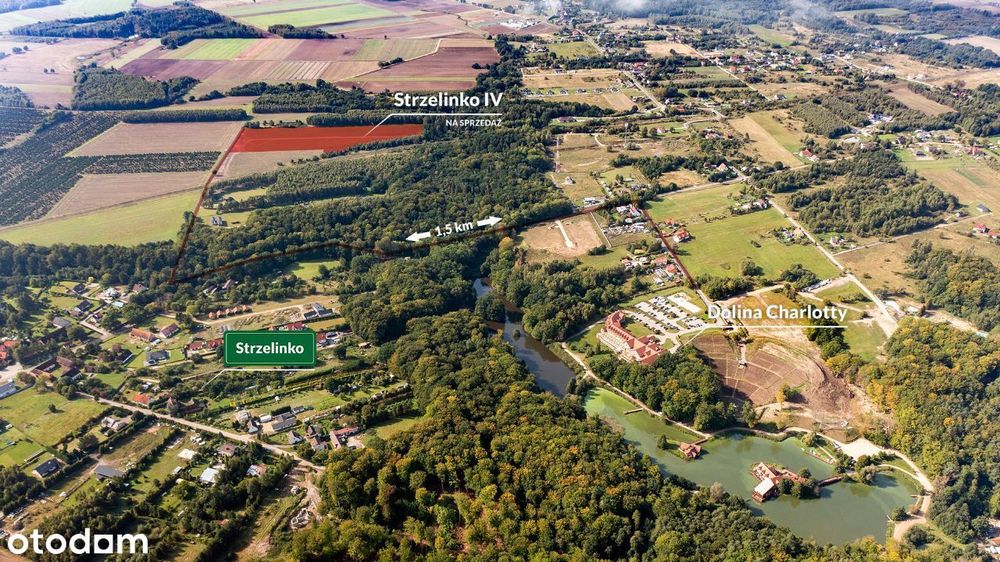 OSTATNIE DZIAŁKI - Strzelinko - komplet uzbrojenia