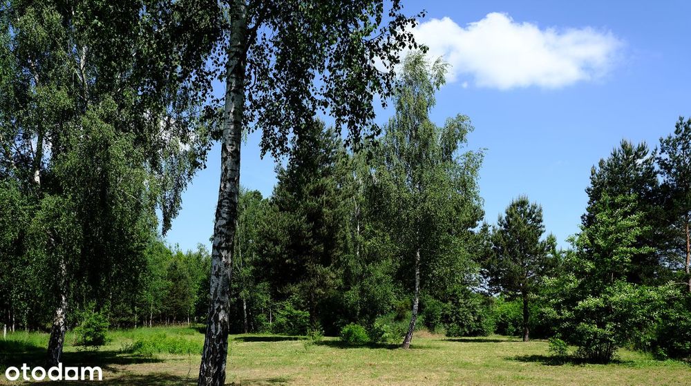 Działka budowlana, ul. Hektarowa